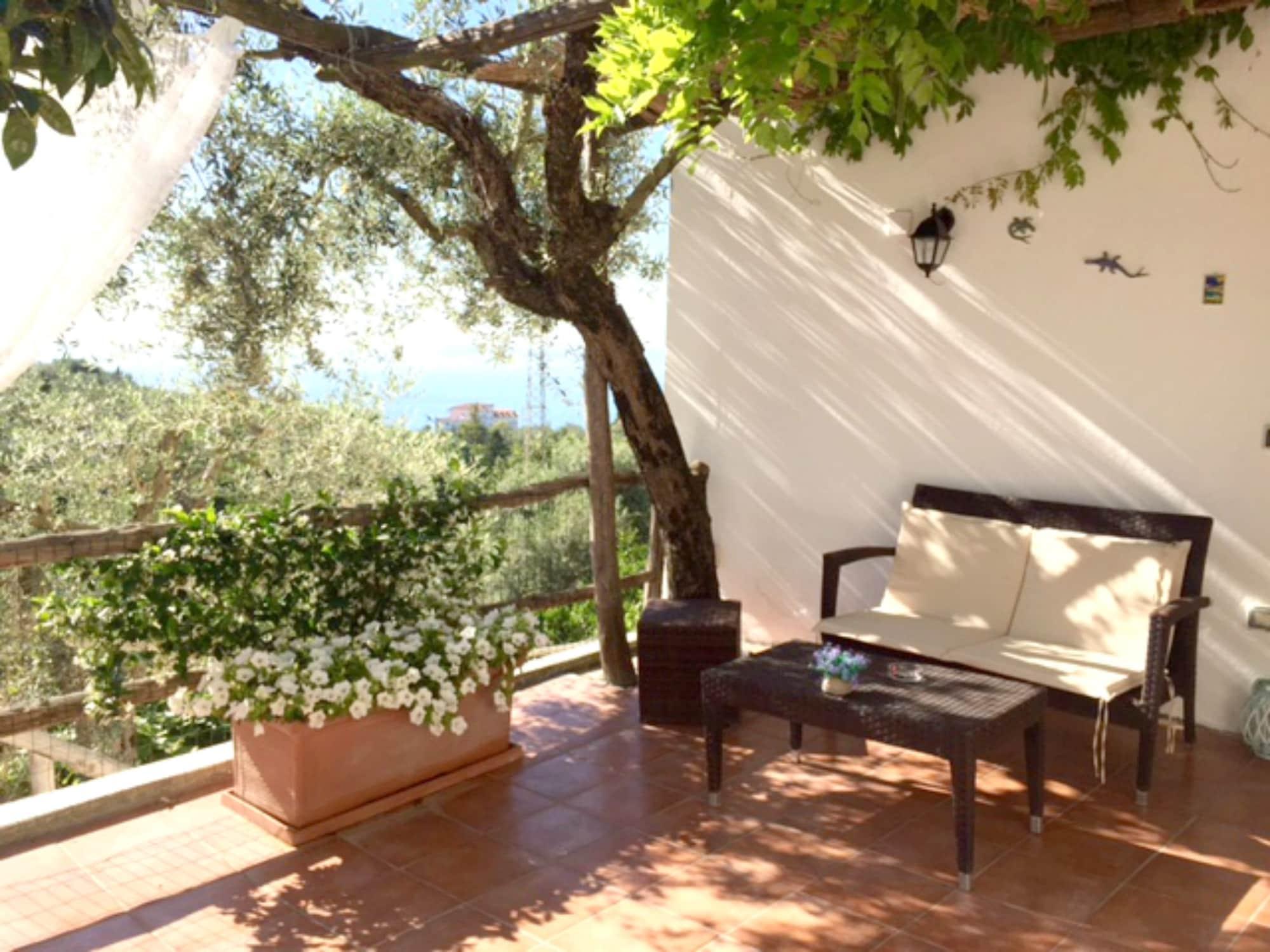 Villa Carolina Sorrento Private Heated Pool And Sea View Eksteriør bilde