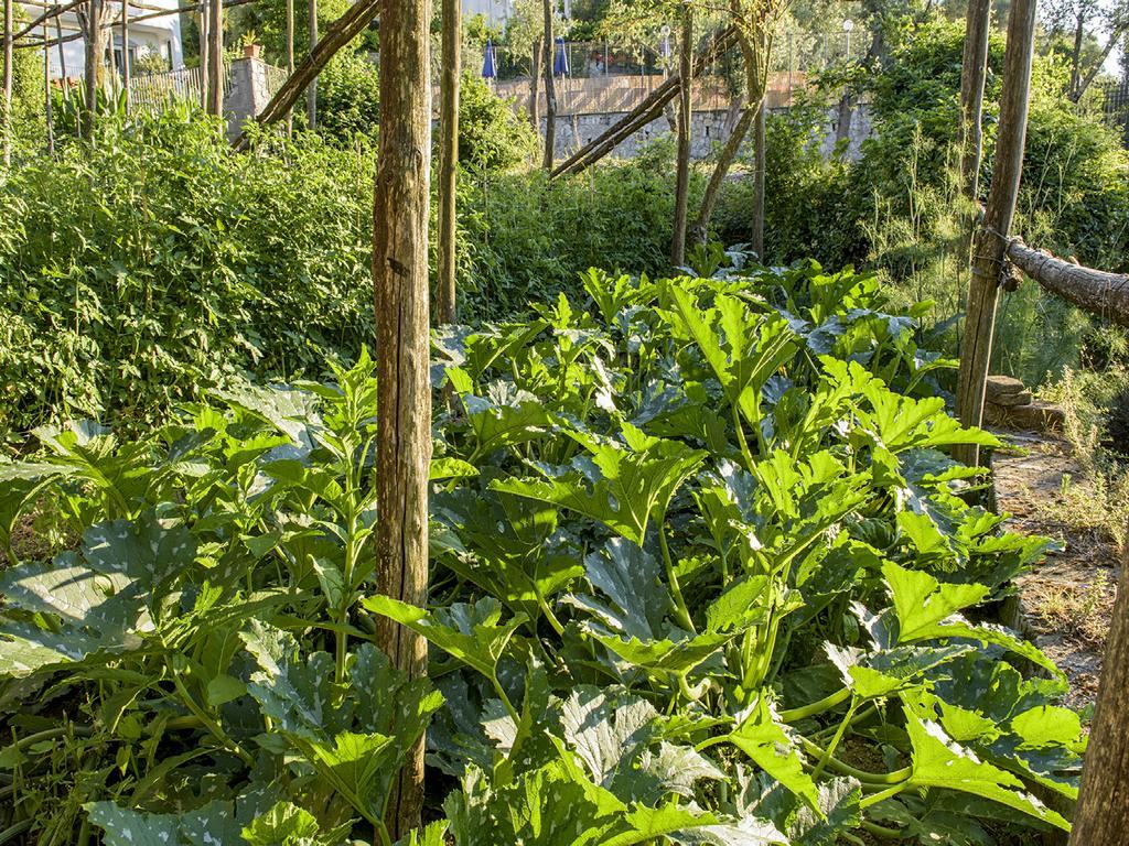 Villa Carolina Sorrento Private Heated Pool And Sea View Eksteriør bilde